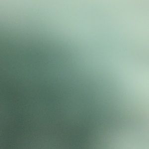 Meet your Posher, Moussa